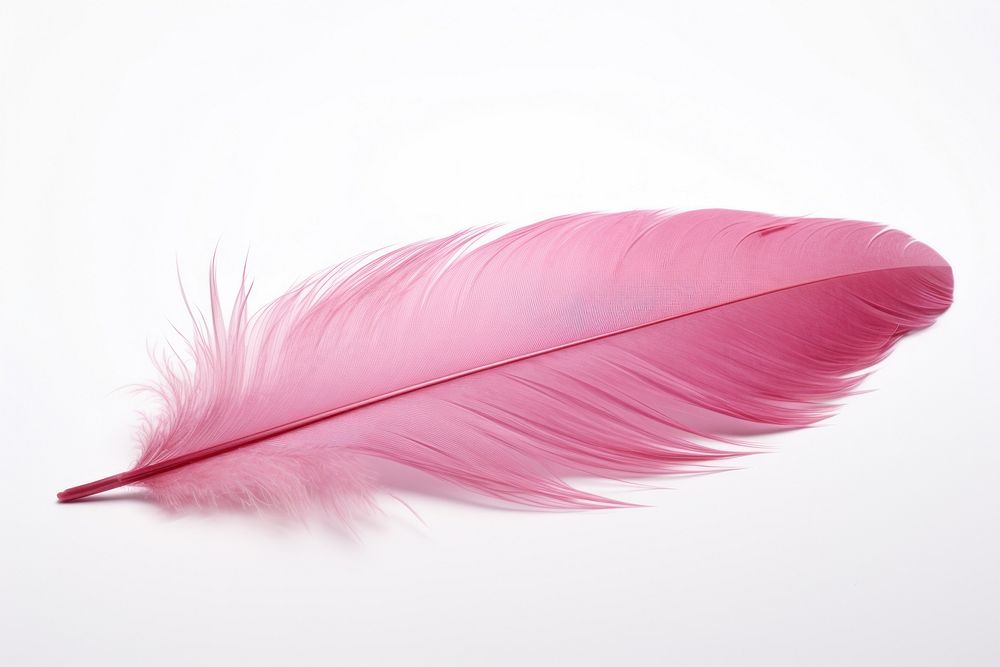 Pink feather white background lightweight accessories.