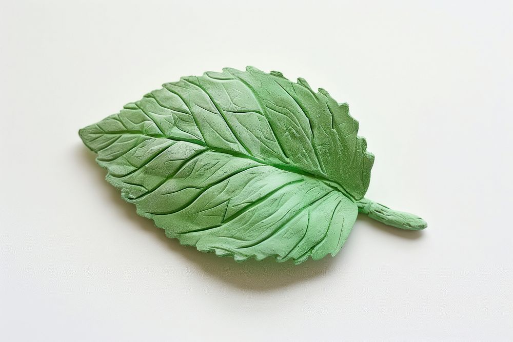 A mint leaf plasticine Childish style plant herbs food.