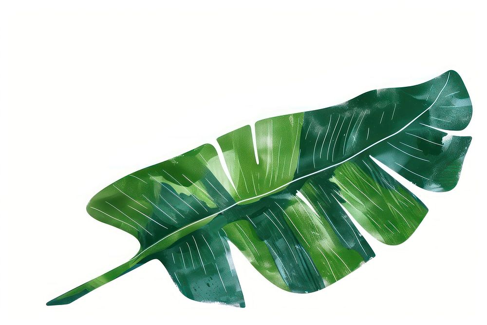 A banana leaf in the style of frayed chalk doodle plant white background xanthosoma.