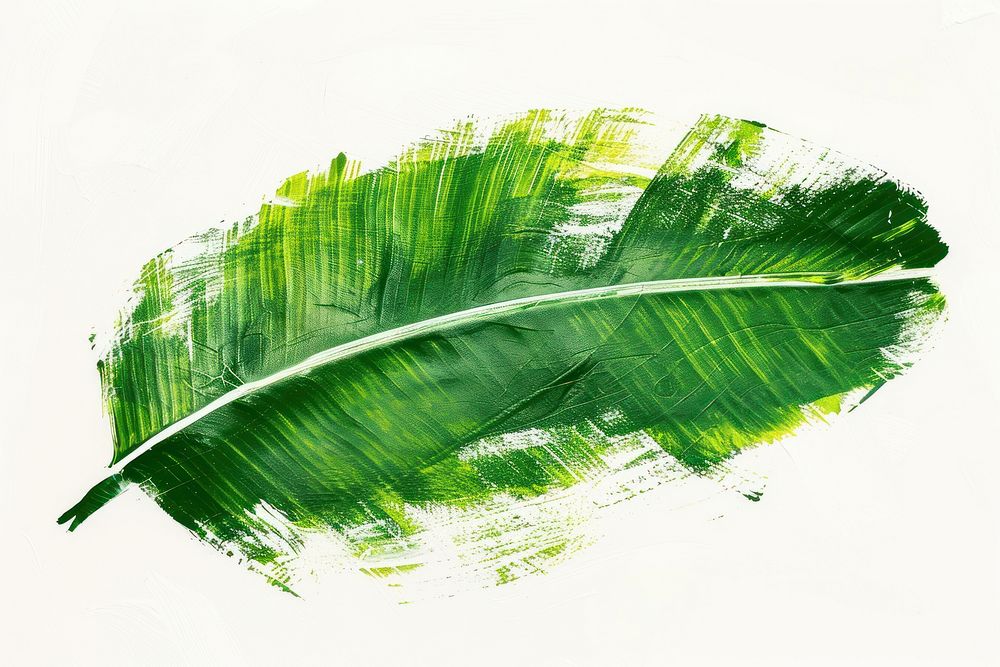 Background abtract shape banana leaf plant green lightweight.