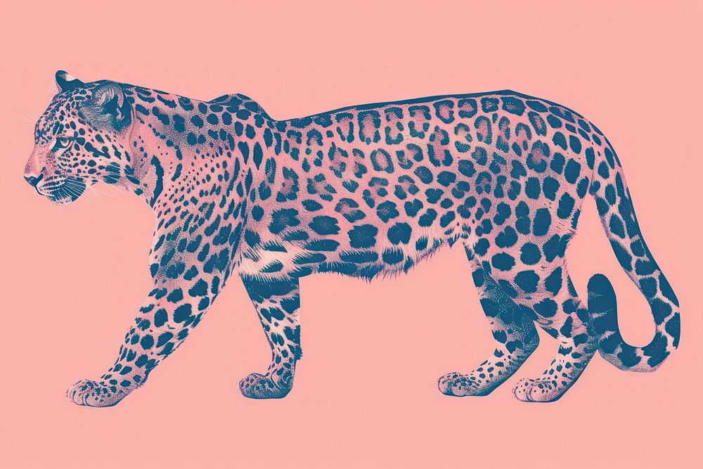 Leopard risograph style wildlife cheetah animal.