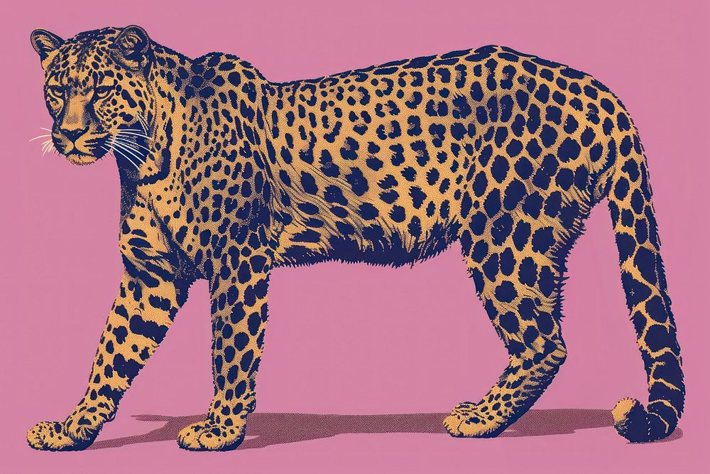 Leopard risograph style cheetah animal mammal.