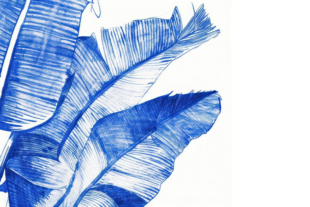 Realistic ballpoint pen drawing vintage drawing banana leaf sketch paper blue.