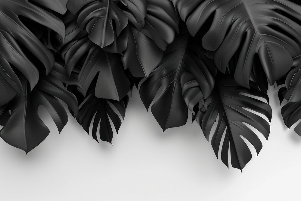 3d render of tropical leave matte black material backgrounds accessories monochrome.