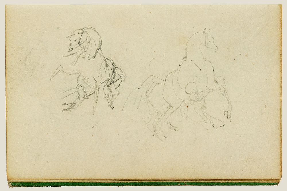Two studies of a rearing horse by Théodore Géricault