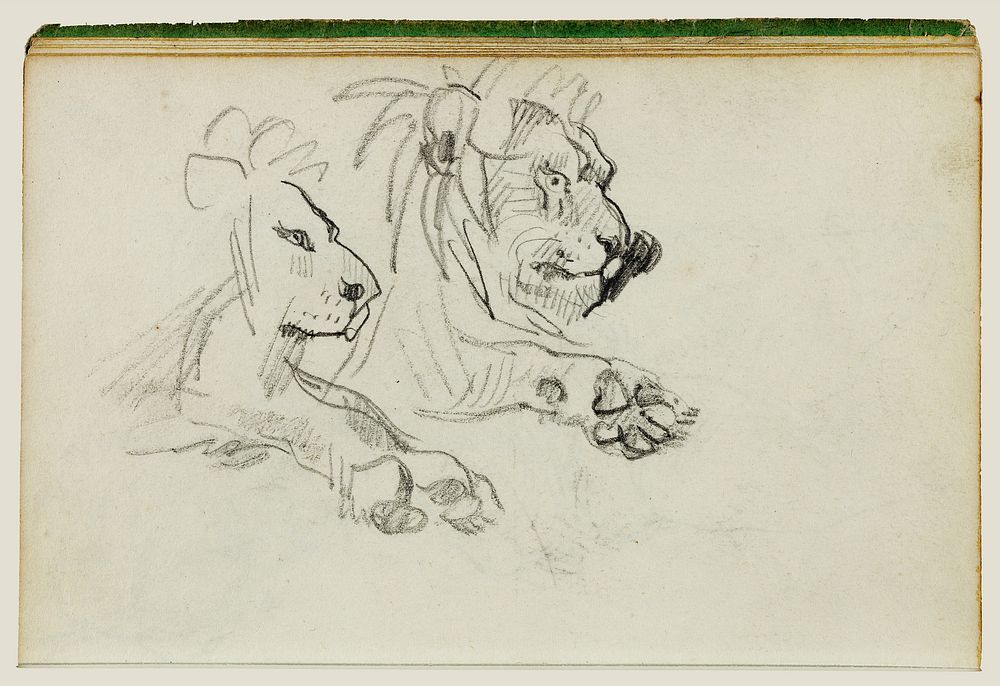 Two lion studies by Théodore Géricault