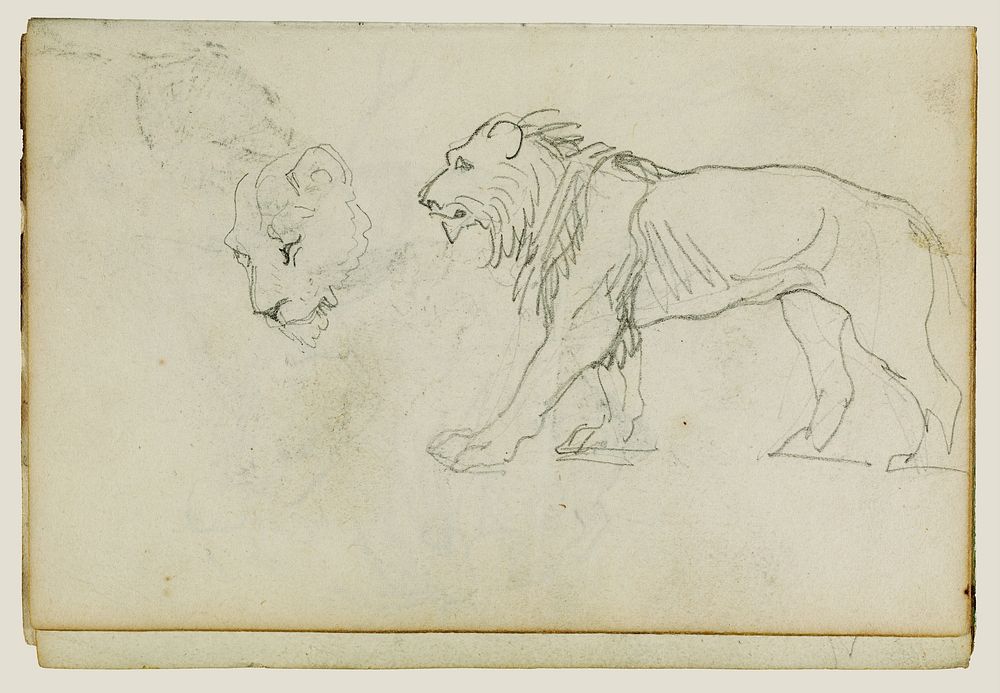 Lion walking, head of a lioness by Théodore Géricault