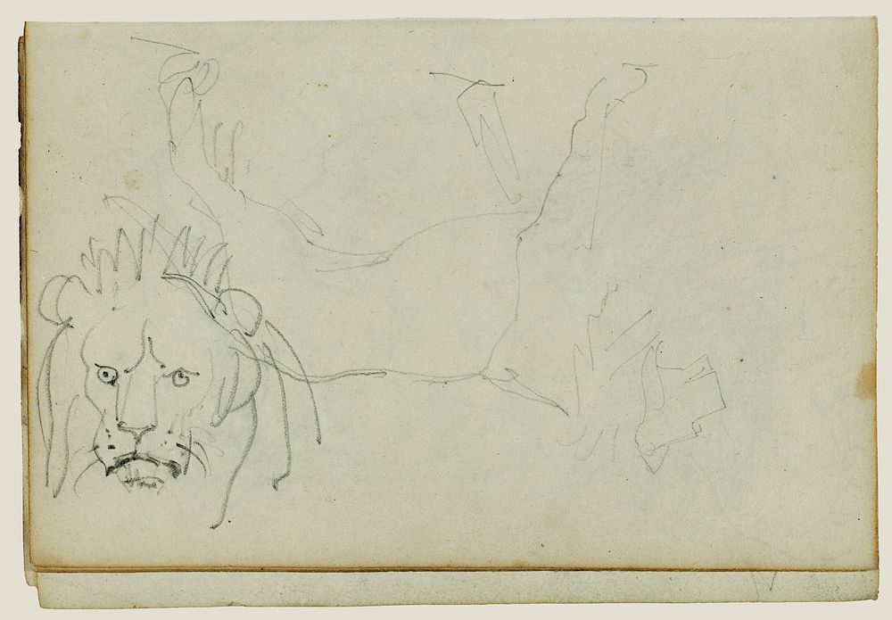 Lion walking, face of lion by Théodore Géricault