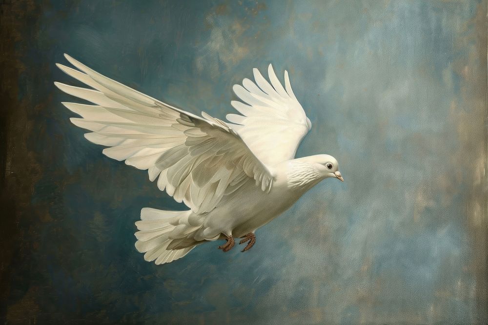 Dove bird painting animal art.