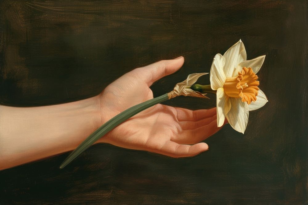 Painting daffodil holding flower.