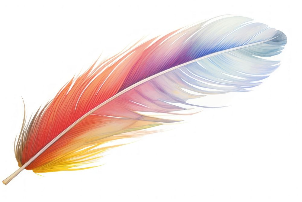 Feather text white background lightweight.