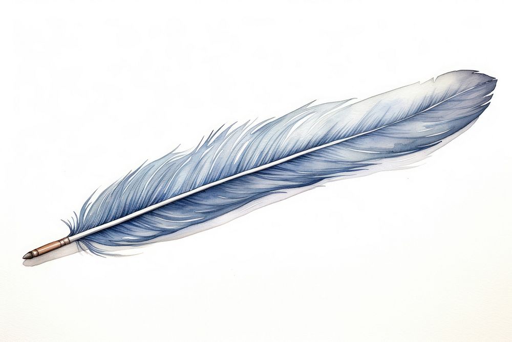 Feather sketch pen art.