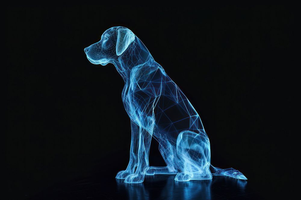 Glowing wireframe of sitting dog black black background carnivora.