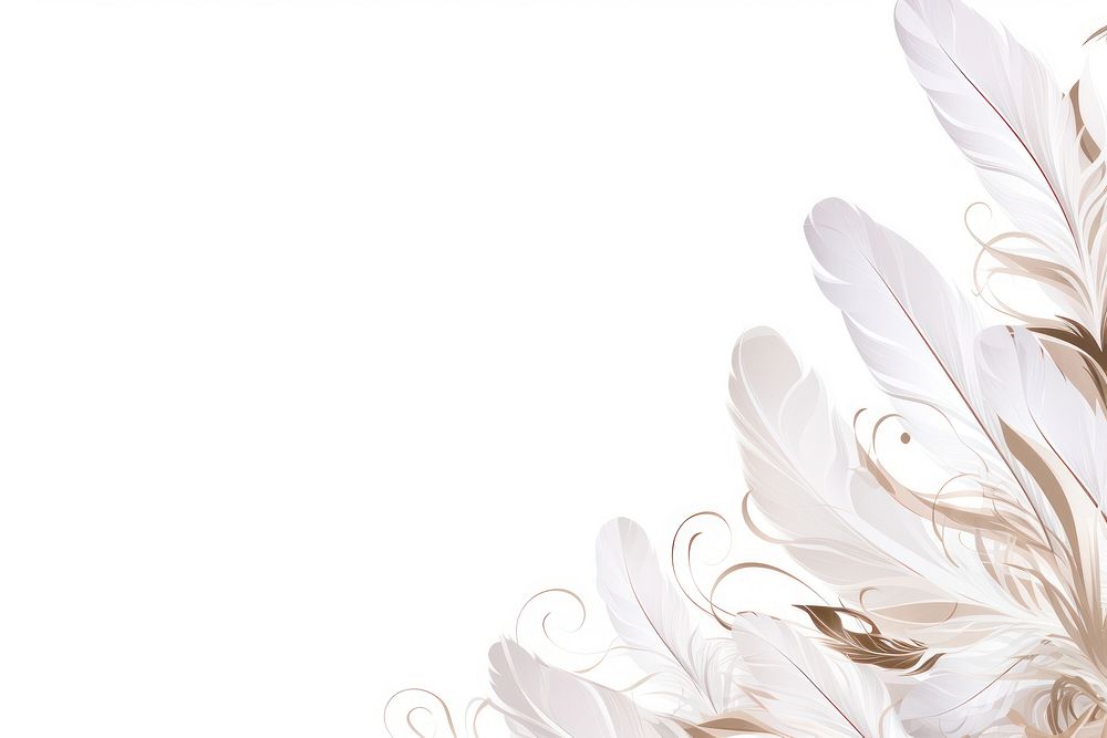 Feather backgrounds pattern white.