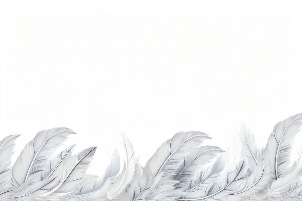 Feather backgrounds drawing sketch.