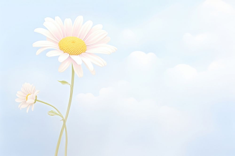 PNG Painting of daisy backgrounds outdoors flower.
