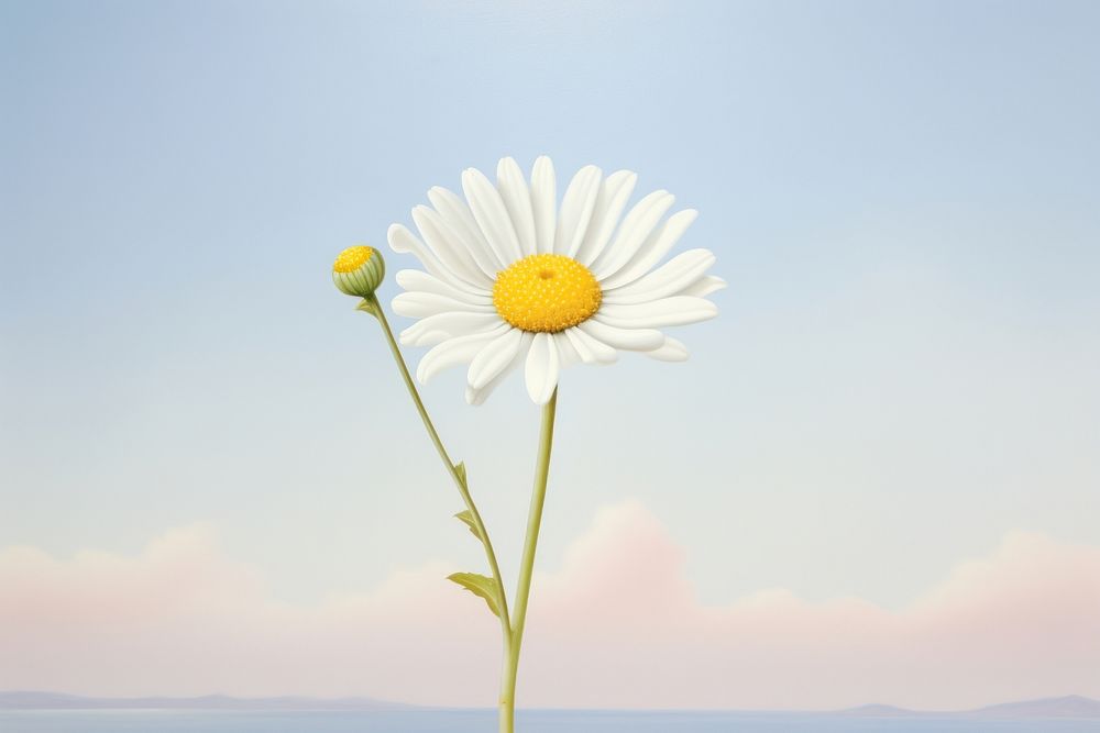 PNG Painting of daisy outdoors nature flower.