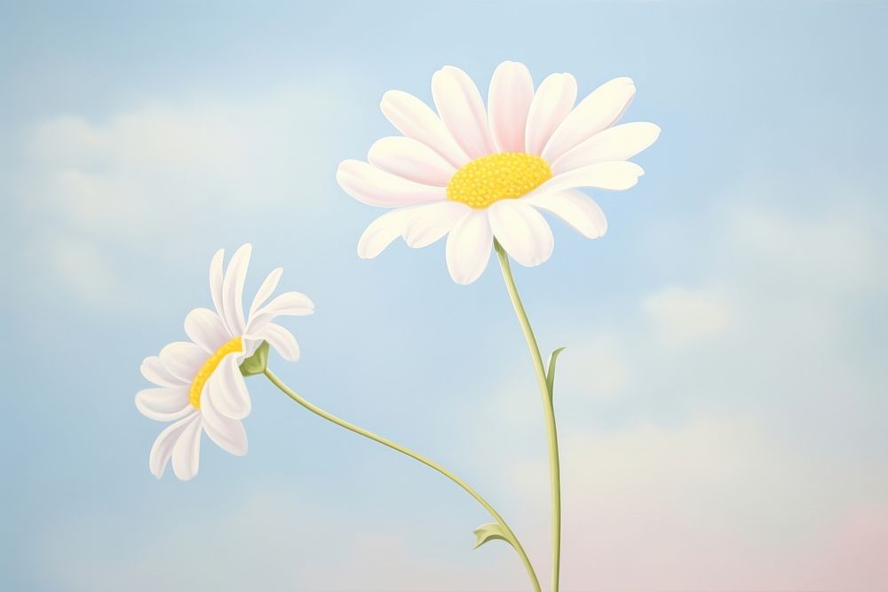 PNG Painting of daisy outdoors blossom flower.