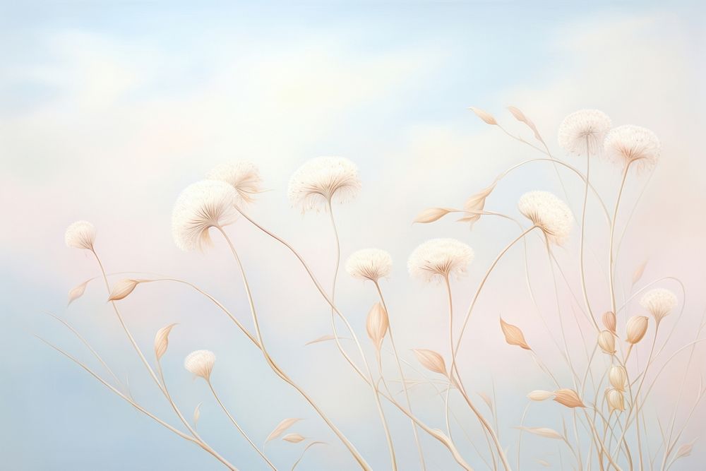 Painting of dried flower backgrounds outdoors nature.