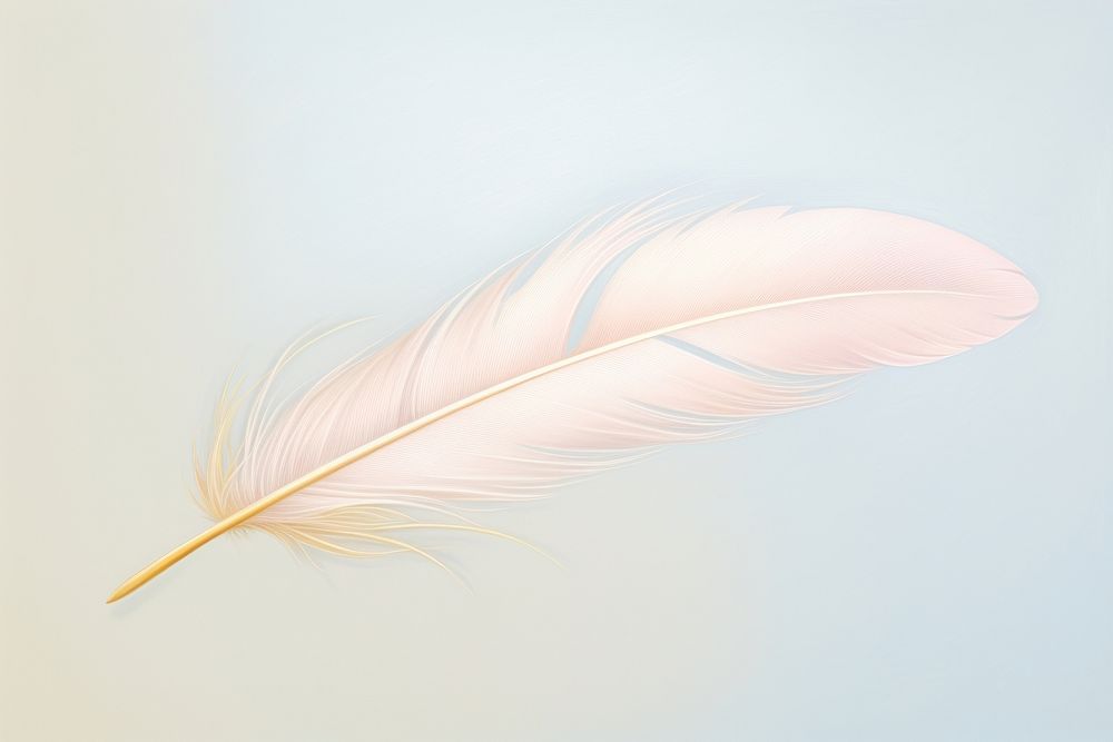 Painting of feather lightweight accessories fragility.