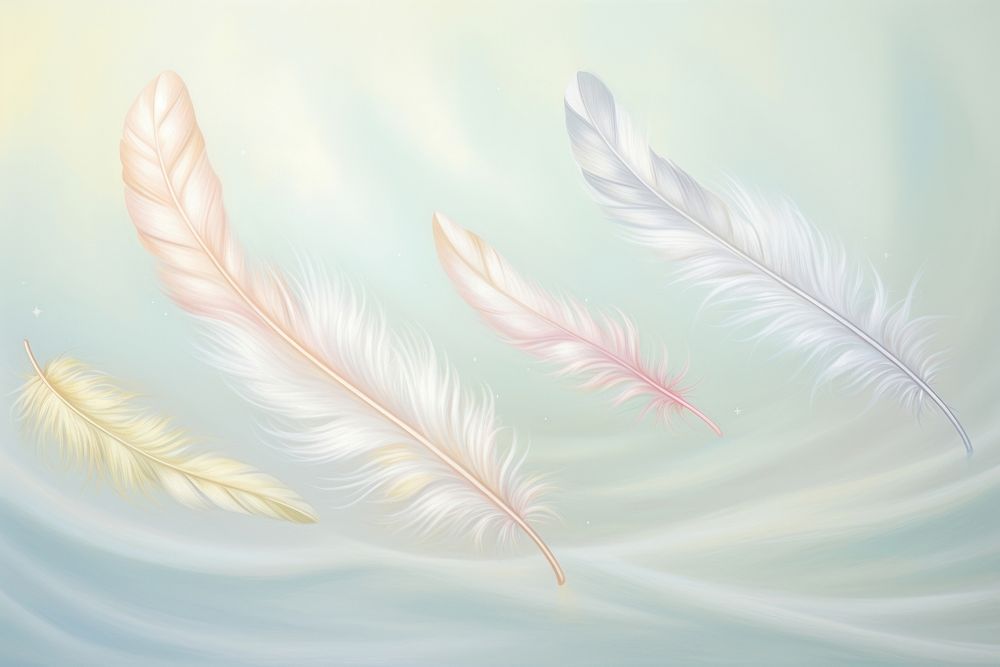 Painting of feathers backgrounds pattern lightweight.