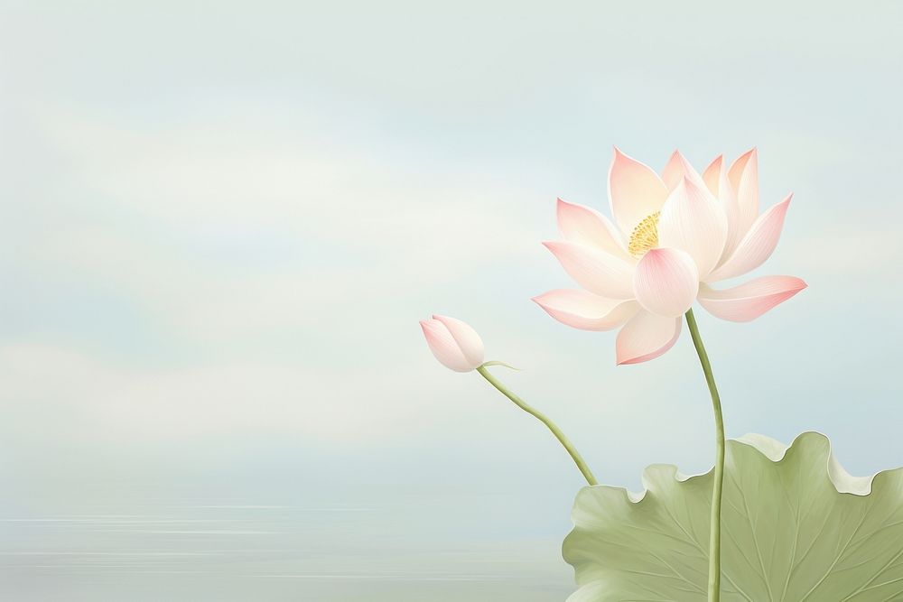 Painting of lotus blossom flower plant.