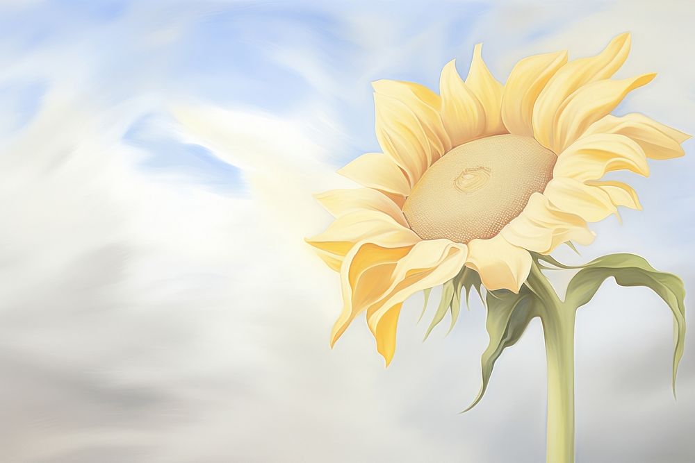 Painting of sunflower plant inflorescence asterales.