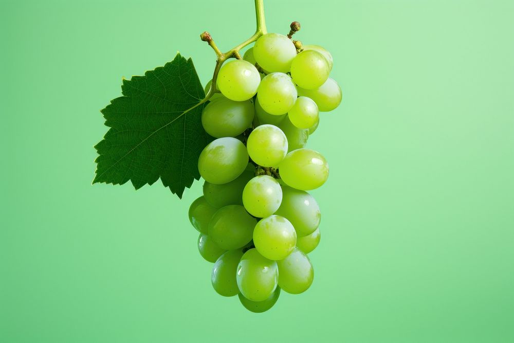 Empty space green grapes fruit plant food.