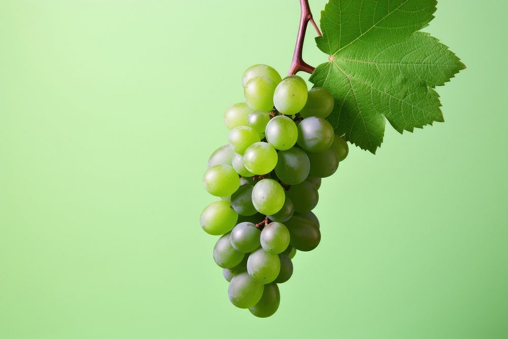 Empty space green grapes plant fruit food.