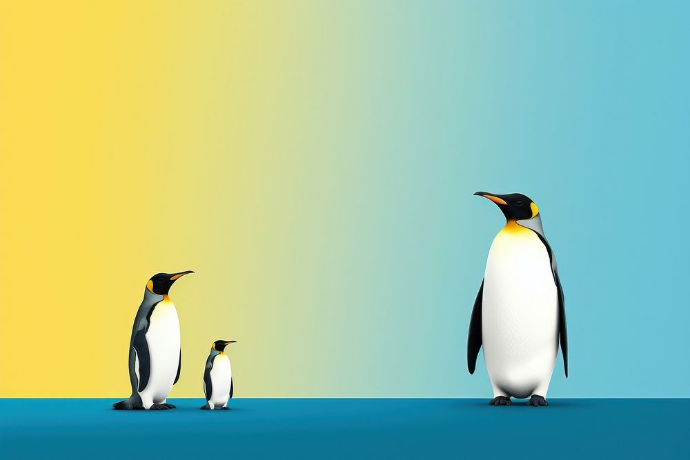 King penguins animal bird togetherness.