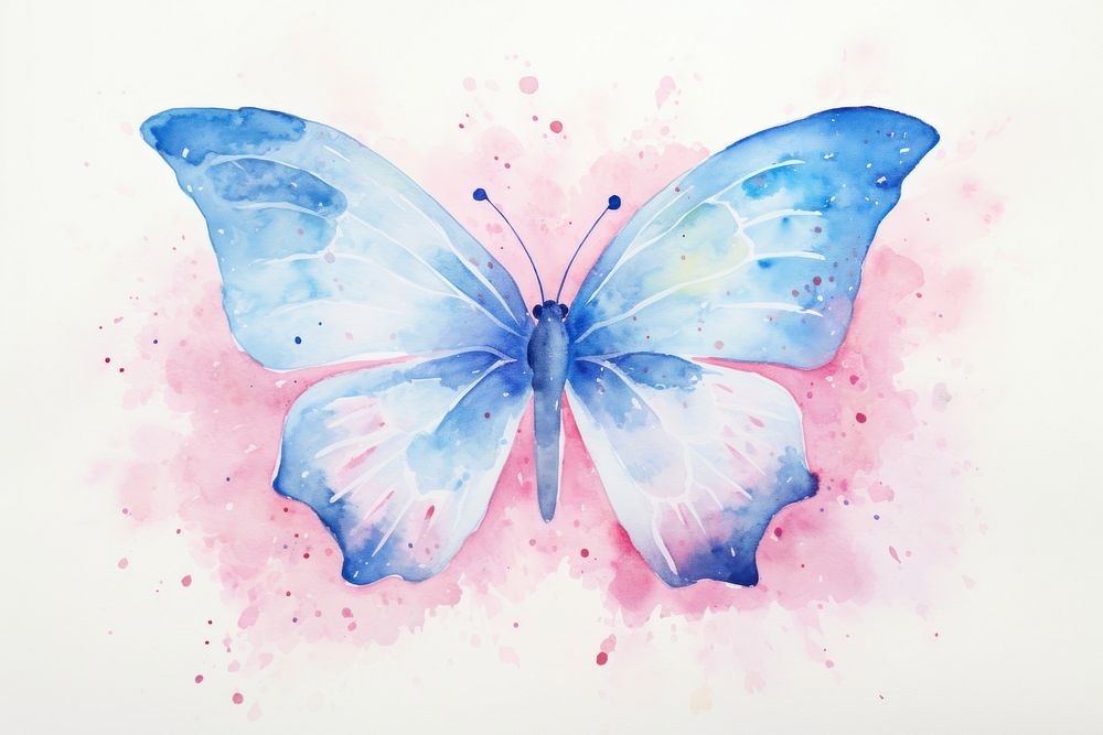 Background butterfly painting animal petal.