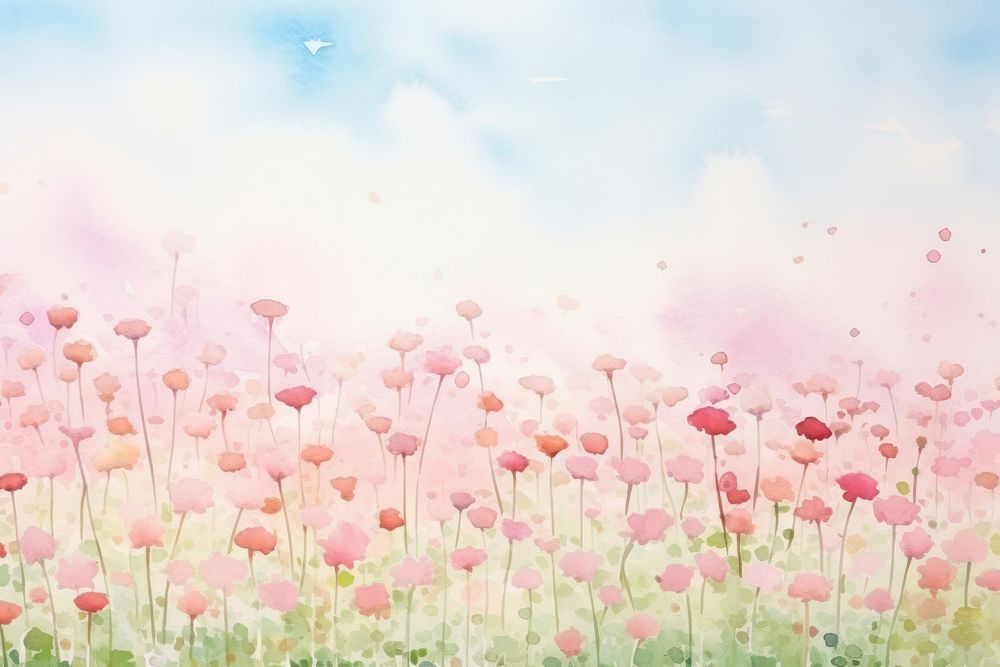 Background carnation backgrounds outdoors blossom.