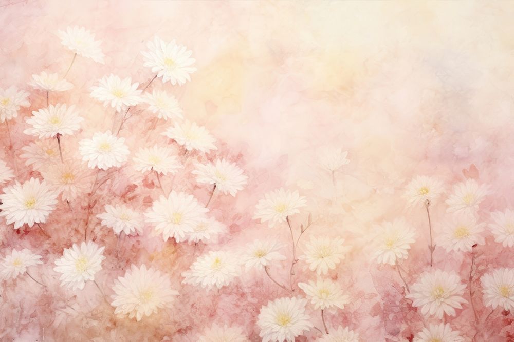 Background chrysanthemum backgrounds chrysanths painting.