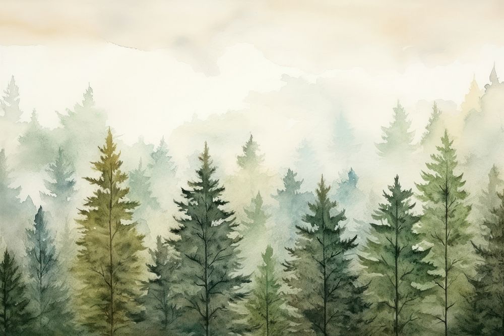 Background Pine forest backgrounds landscape outdoors.