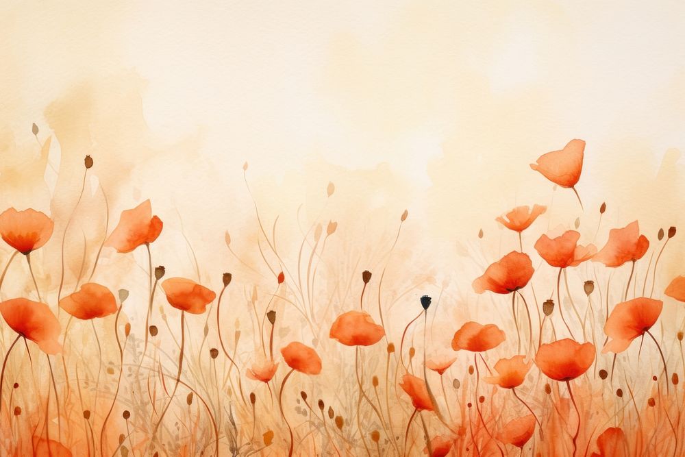 Background poppy backgrounds painting flower.