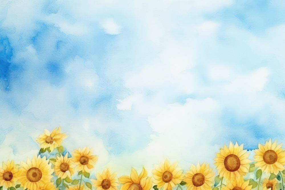 Background sunflowers sky backgrounds outdoors.
