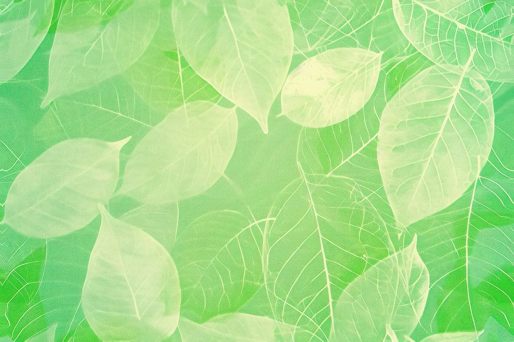 Green pattern of leaf green backgrounds outdoors.
