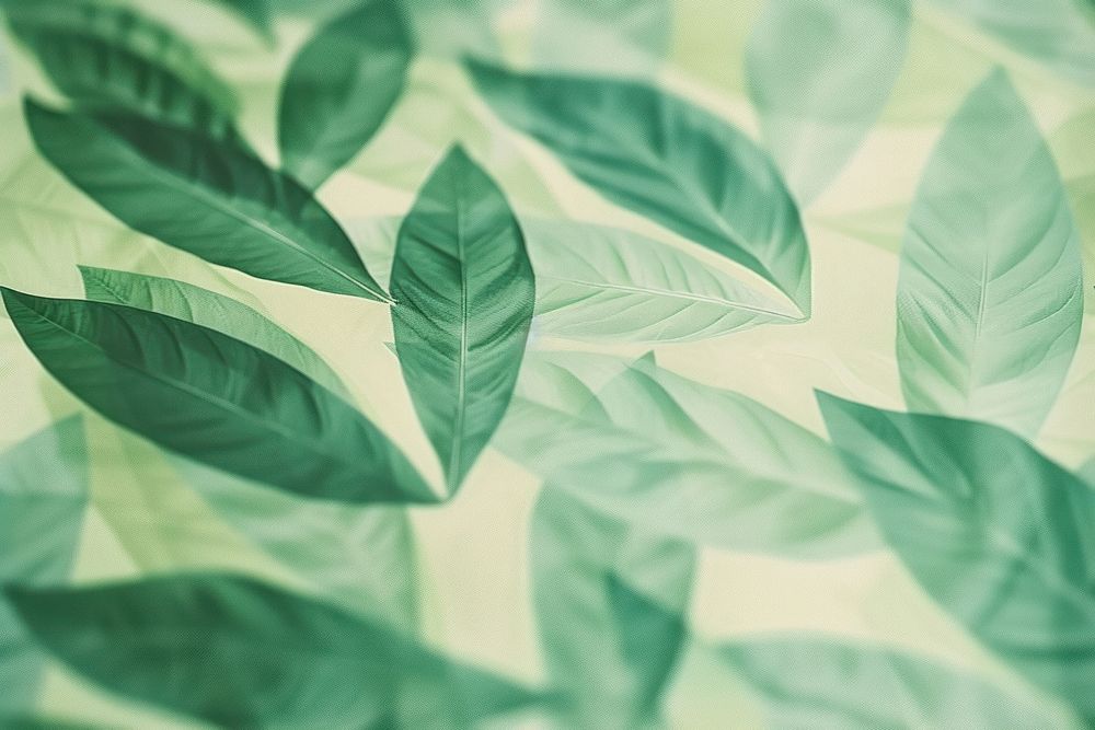 Green pattern of leaf green backgrounds abstract.