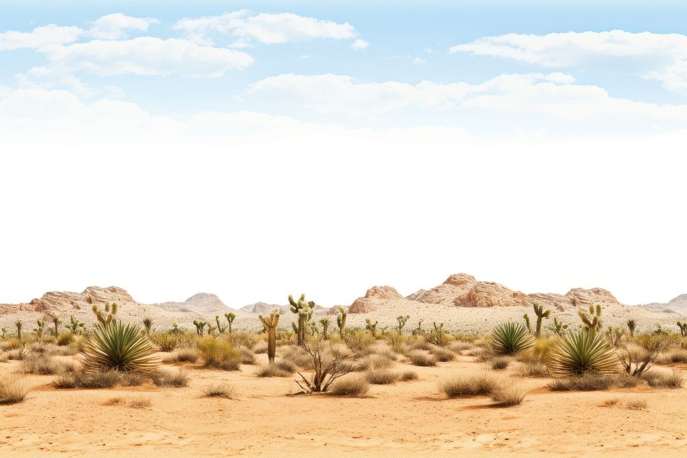 Wide Mojave nature landscape outdoors.