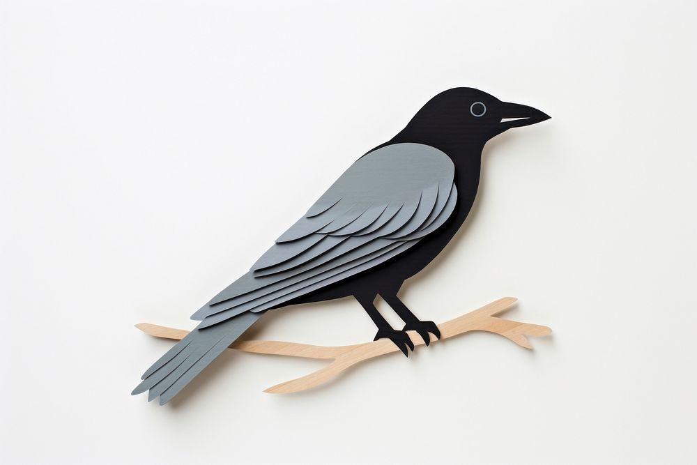 Crow blackbird animal crow.