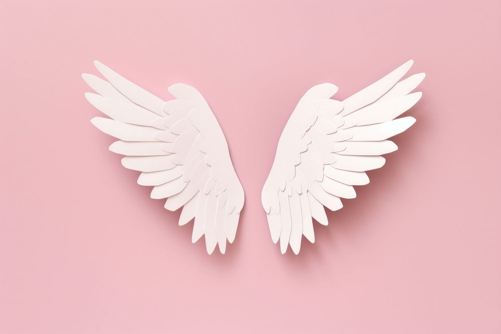 Angel wings white invertebrate creativity.