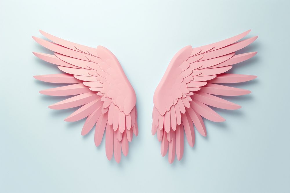Angel wings bird creativity blossom.