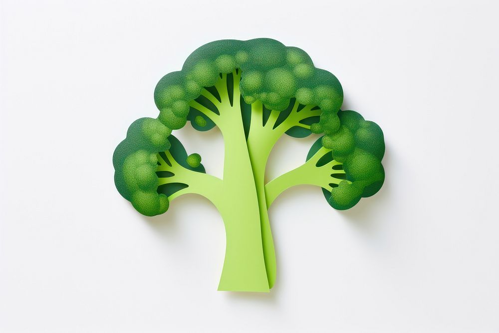 Broccoli broccoli vegetable plant.