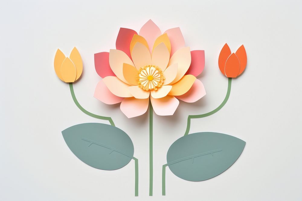 Lotus art flower petal.