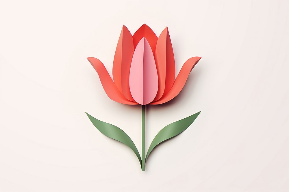 Tulip art flower petal.