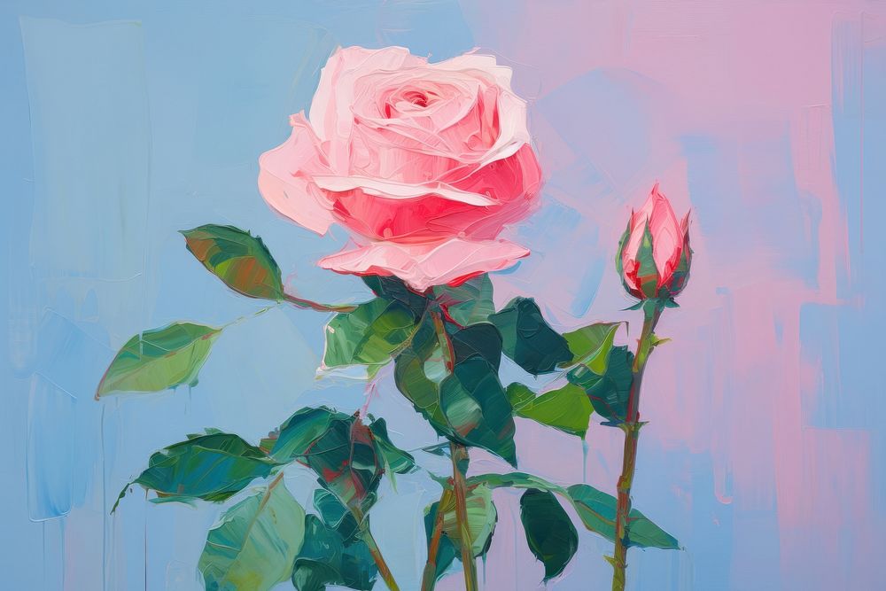 Rose painting rose blossom.