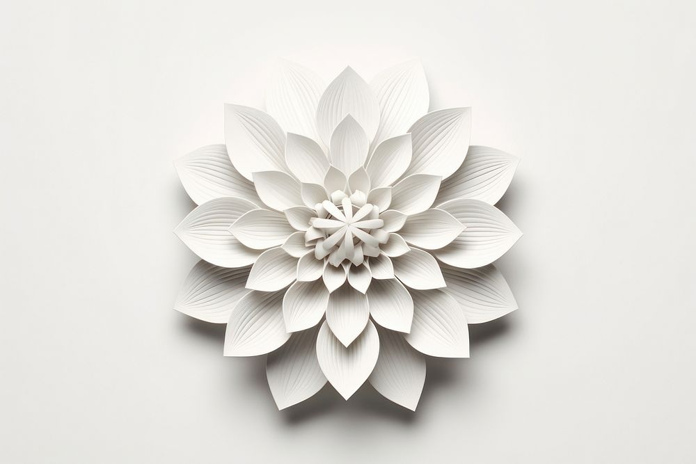 Frame paper cutout flower white pattern craft.