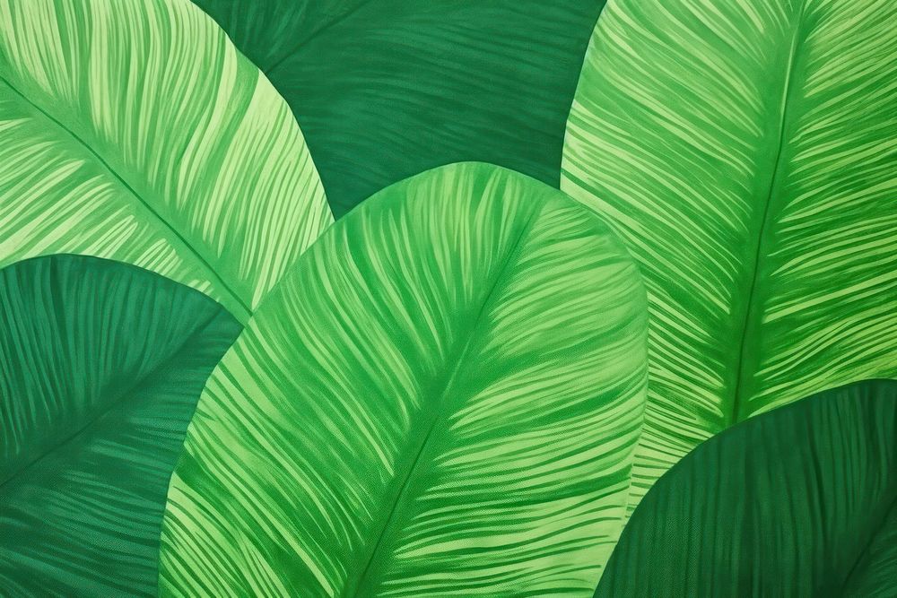 Tropical leaves green abstract nature.