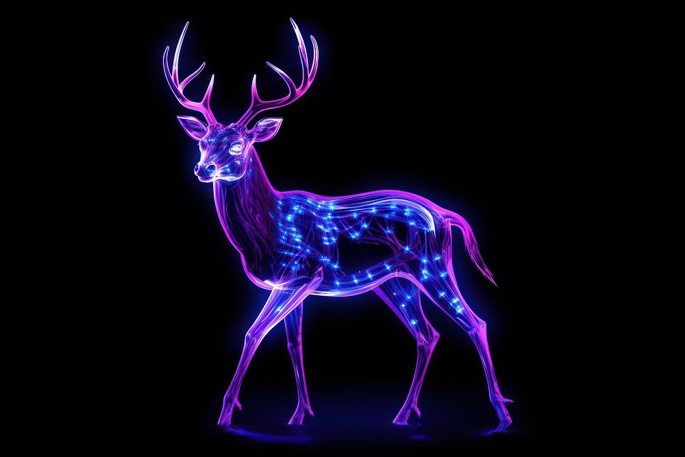 Neon deer wildlife animal mammal.