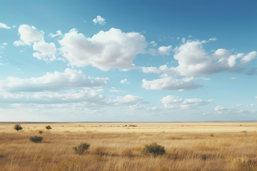 Prairie sky outdoors savanna.